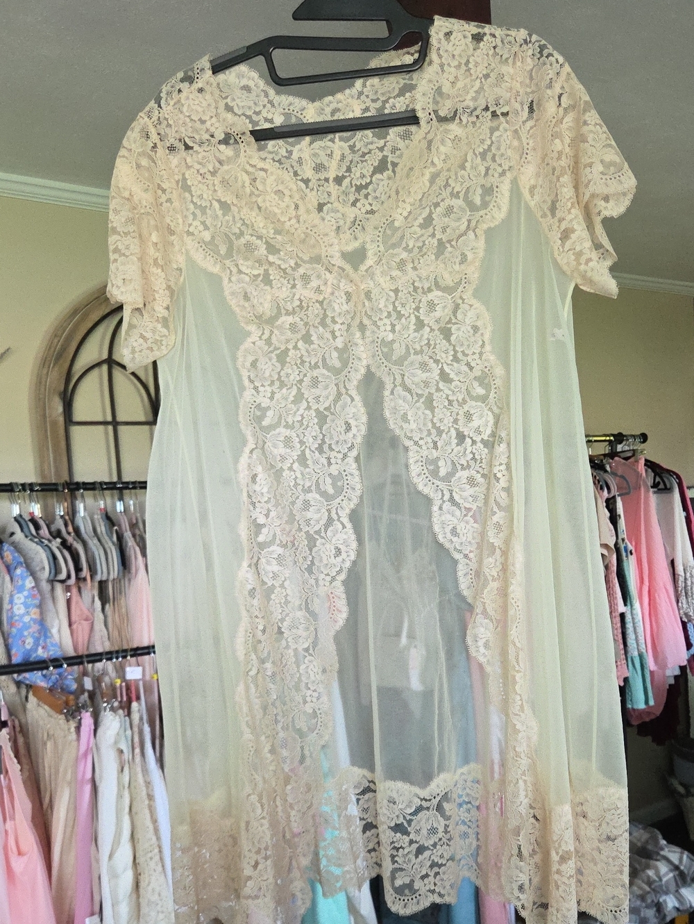 Sheer Lace Short-Sleeve Robe in Champagne